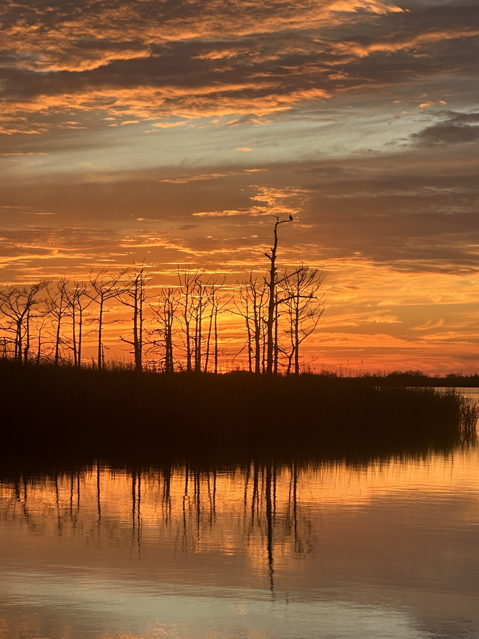 United States-National Parks-Other - Image 2367